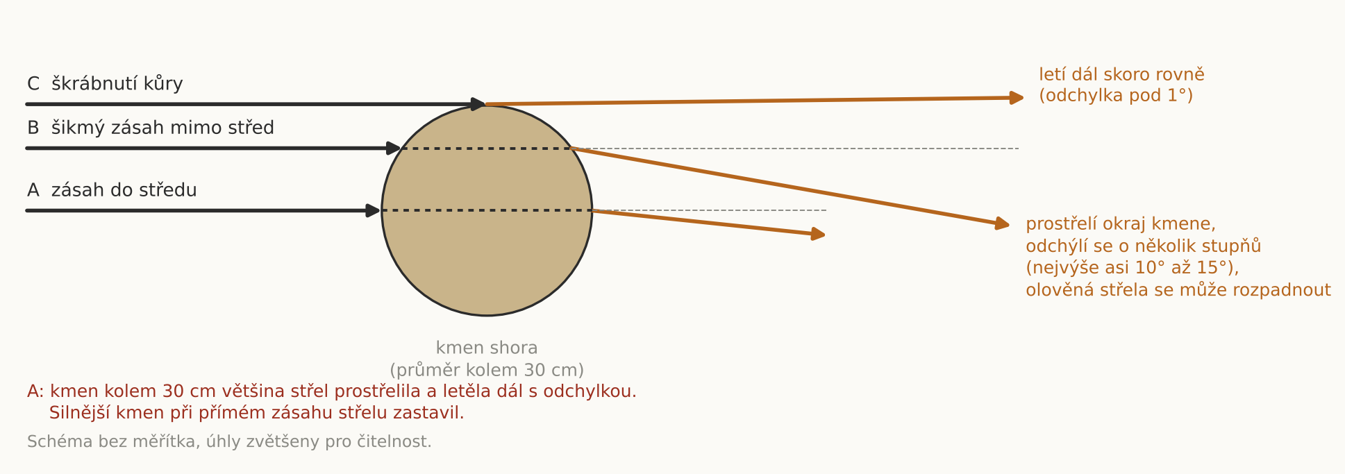 Co se stane se střelou při zásahu kmene, pohled shora. Vlastní náčrt podle výsledků Rottenberger (2011) a Kneubuehl (2011).